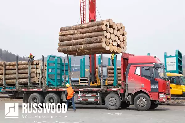هزینه حمل و نقل در واردات چوب روسی